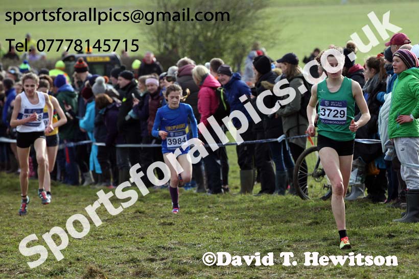 Girls under-15s 2019 British Athletics Inter Counties Cross Country, Prestwood Hall, Loughborough. Photo:  David T. Hewitson/Sports for All Pics